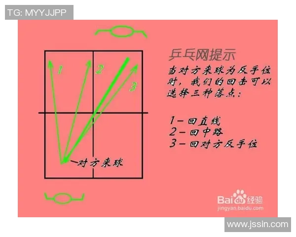 从零起步掌握乒乓球配合技巧的全面指南与实战经验分享 从零起步掌握乒乓球配合技巧的全面指南与实战经验分享