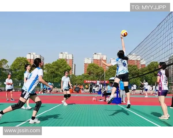 杨伟深度解析排球技巧与心得分享助你提升竞技水平