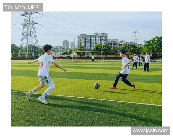 合肥野球足球的崛起与发展探索如何推动地方体育文化的全面提升