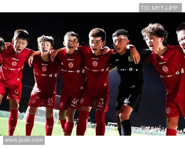 足球巨鹿的崛起与挑战探索中国足球新未来的无限可能